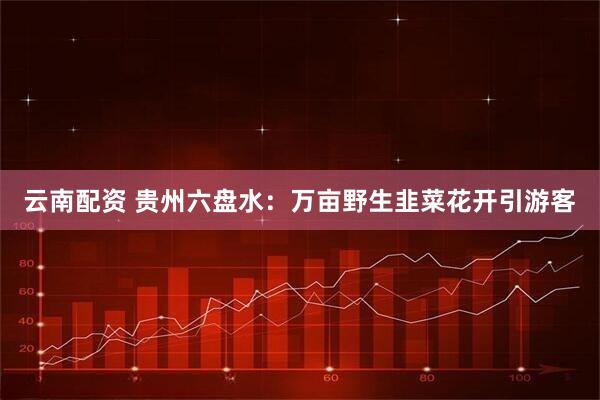 云南配资 贵州六盘水：万亩野生韭菜花开引游客