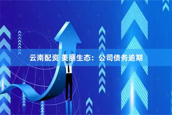 云南配资 美丽生态：公司债务逾期